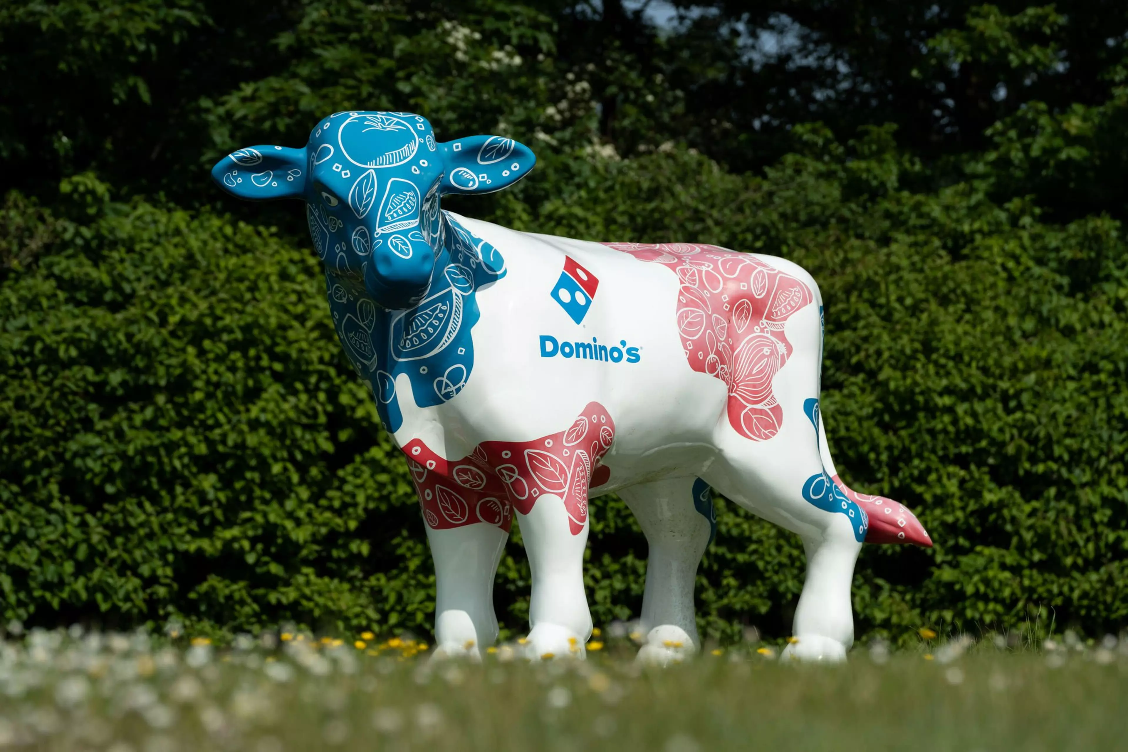 Dominos cow in Dominos colours